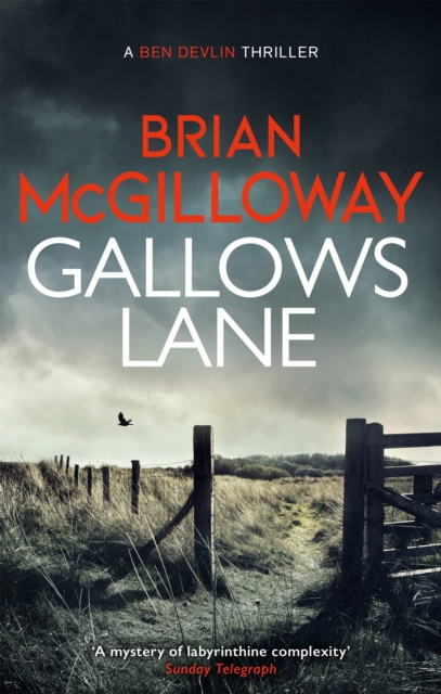 Gallows Lane : An ex con and drug violence collide in the borderlands of Ireland..., Paperback / softback Book