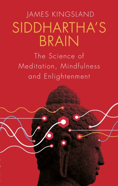 Siddhartha's Brain : The Science of Meditation, Mindfulness and Enlightenment, Paperback / softback Book