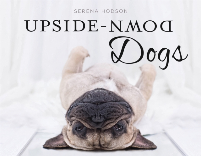 Upside-Down Dogs, Hardback Book