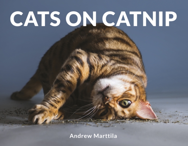 Cats on Catnip, EPUB eBook