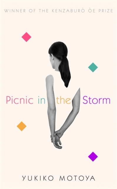 Picnic in the Storm, Hardback Book
