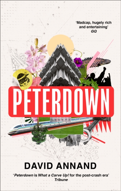 Peterdown : An epic social satire, full of comedy, character and anarchic radicalism, Paperback / softback Book