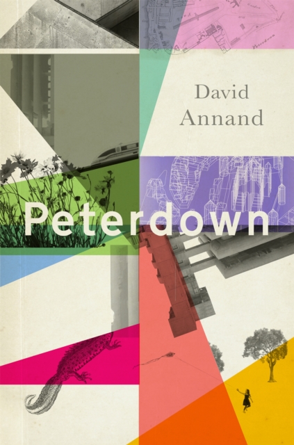 Peterdown : An epic social satire, full of comedy, character and anarchic radicalism, Hardback Book