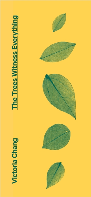 The Trees Witness Everything, Paperback / softback Book
