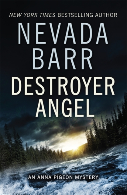 Destroyer Angel (Anna Pigeon Mysteries, Book 18) : A suspenseful thriller of the American wilderness, Paperback / softback Book