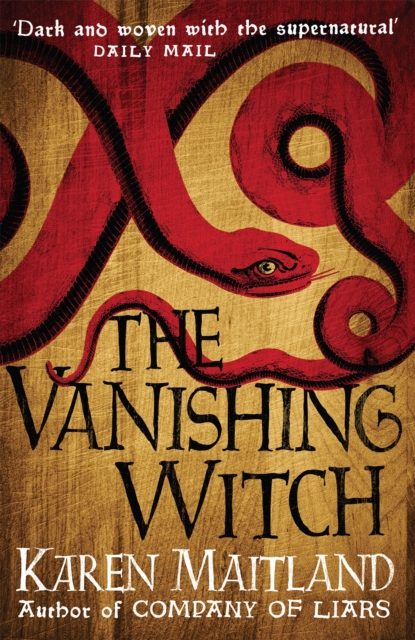 The Vanishing Witch : A dark historical tale of witchcraft and rebellion, Hardback Book