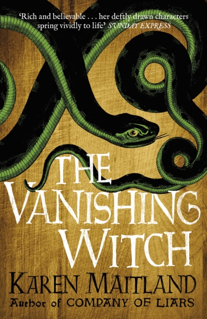 The Vanishing Witch : A dark historical tale of witchcraft and rebellion, EPUB eBook