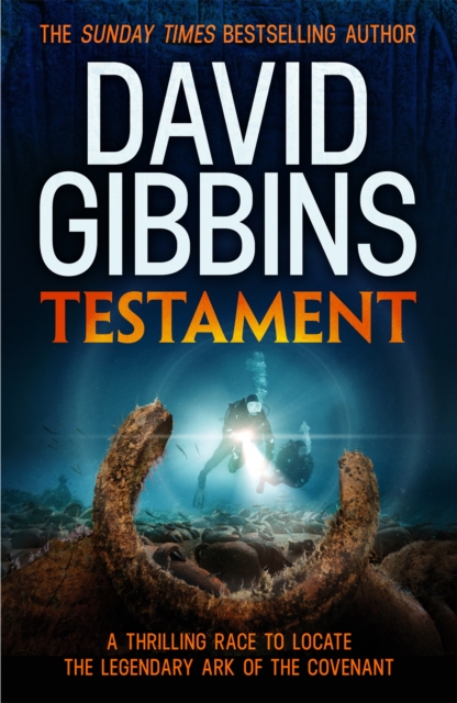 Testament, Paperback / softback Book
