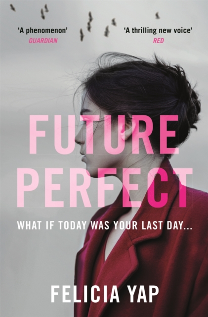 Future Perfect : The Most Exciting High-Concept Novel of the Year, Paperback / softback Book
