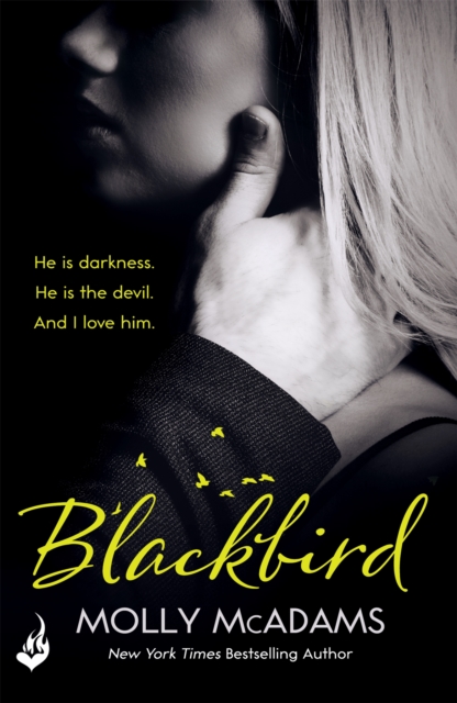 Blackbird : A story of true love against the odds, Paperback / softback Book
