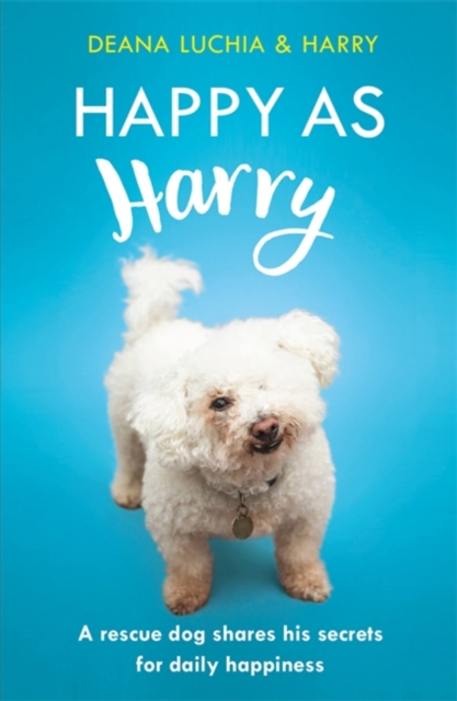 Happy as Harry : A rescue dog shares his secrets for daily happiness, Hardback Book