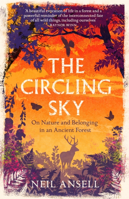 The Circling Sky : On Nature and Belonging in an Ancient Forest, Hardback Book