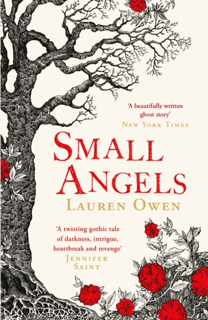 Small Angels : 'A twisting gothic tale of darkness, intrigue, heartbreak and revenge' Jennifer Saint, Paperback / softback Book