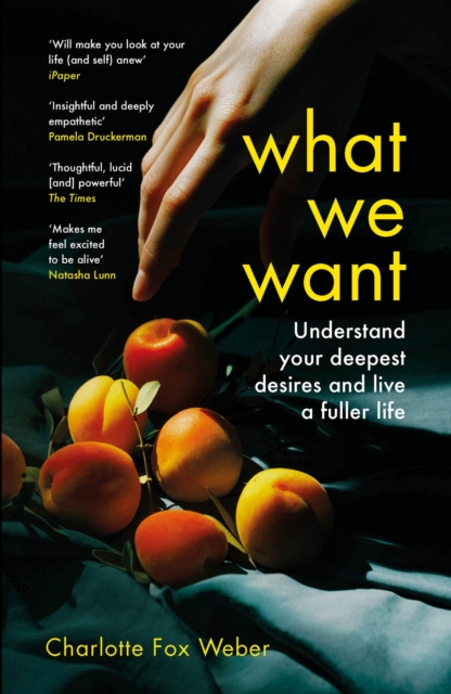 What We Want : A Journey Through Twelve of Our Deepest Desires, Paperback / softback Book