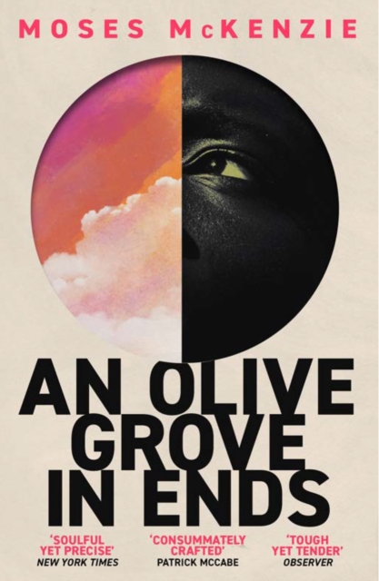 An Olive Grove in Ends : The dazzling debut novel about love, faith and community, by an electrifying new voice, EPUB eBook