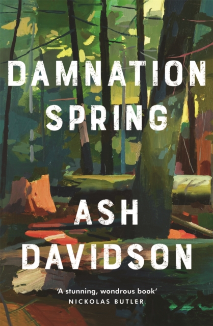 Damnation Spring, Hardback Book