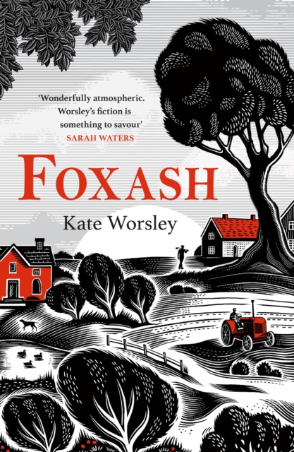 Foxash : 'A wonderfully atmospheric and deeply unsettling novel' Sarah Waters, Paperback / softback Book