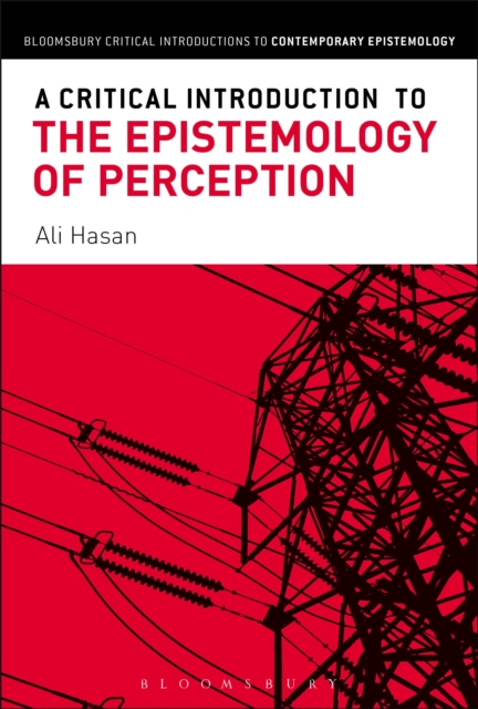 A Critical Introduction to the Epistemology of Perception, EPUB eBook