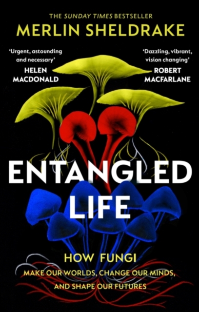 Entangled Life - Independent Exclusive Edition : The phenomenal Sunday Times bestseller exploring how fungi make our worlds, change our minds and shape our futures, Paperback / softback Book