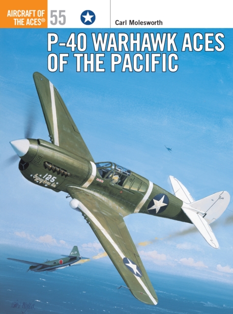 P-40 Warhawk Aces of the Pacific, EPUB eBook