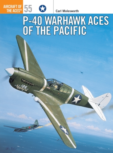 P-40 Warhawk Aces of the Pacific, PDF eBook