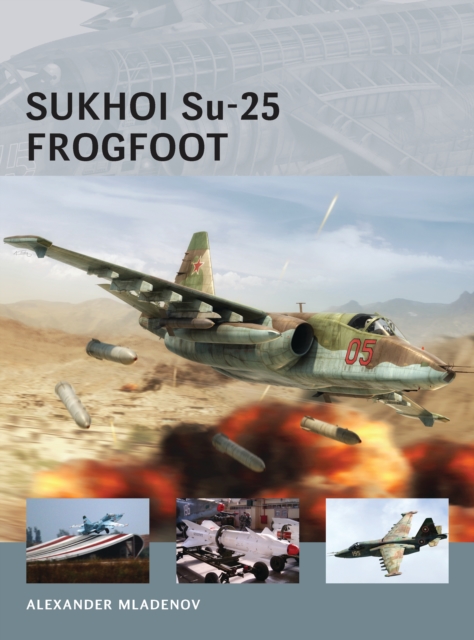 Sukhoi Su-25 Frogfoot, PDF eBook