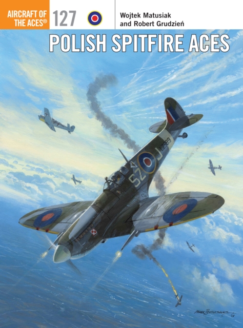 Polish Spitfire Aces, EPUB eBook