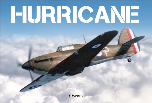 Hurricane, PDF eBook