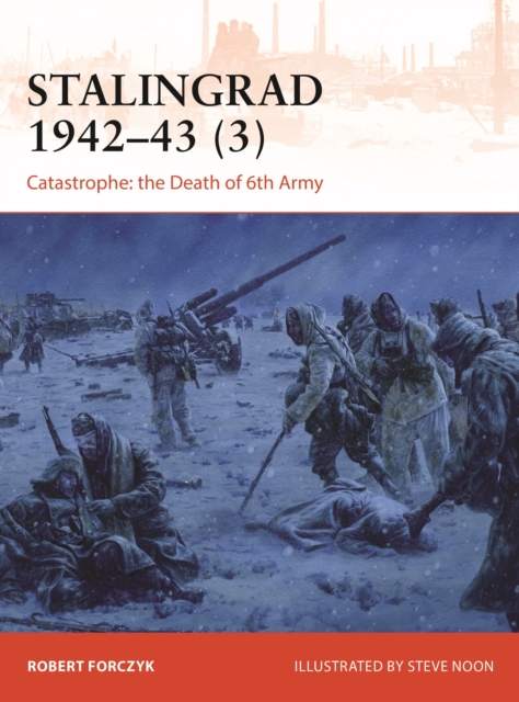 Stalingrad 1942-43 (3) : Catastrophe: the Death of 6th Army, Paperback / softback Book