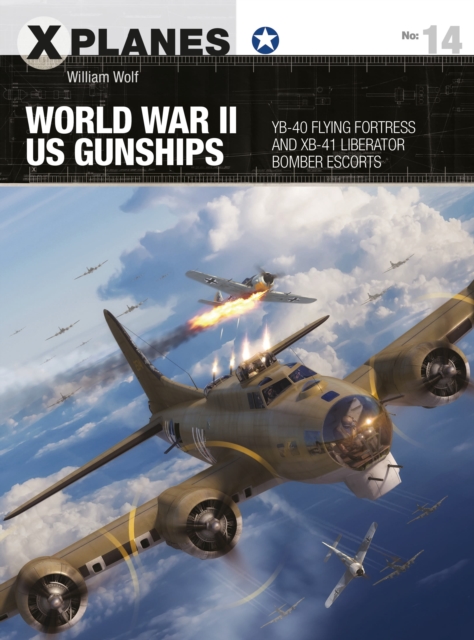 World War II US Gunships : YB-40 Flying Fortress and XB-41 Liberator Bomber Escorts, Paperback / softback Book