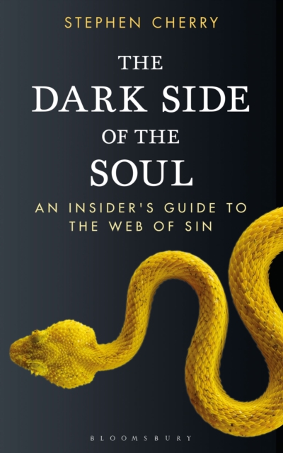 The Dark Side of the Soul : An Insider's Guide to the Web of Sin, Paperback / softback Book