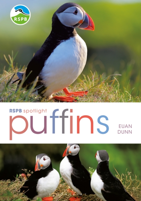 RSPB Spotlight: Puffins, EPUB eBook