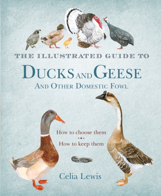 The Illustrated Guide to Ducks and Geese and Other Domestic Fowl : How To Choose Them - How To Keep Them, EPUB eBook