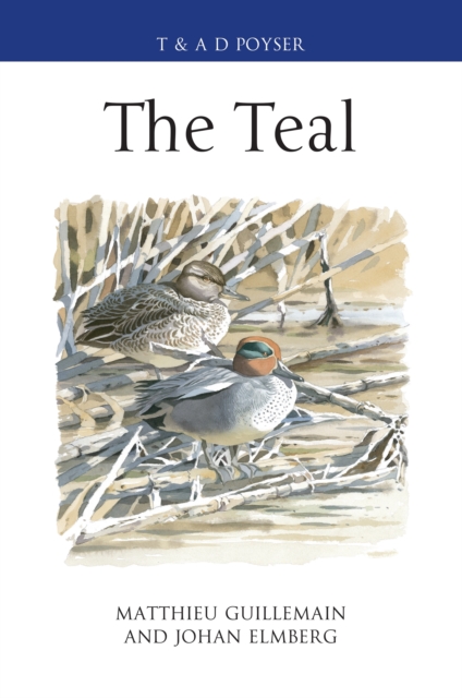 The Teal, PDF eBook