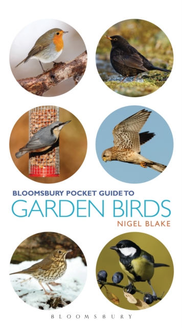 Pocket Guide To Garden Birds, Paperback / softback Book