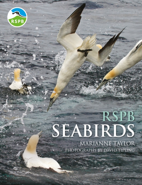 RSPB Seabirds, EPUB eBook