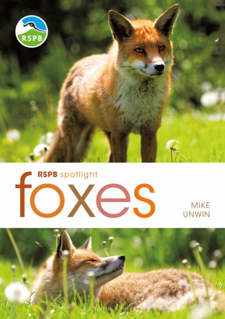 RSPB Spotlight: Foxes, EPUB eBook