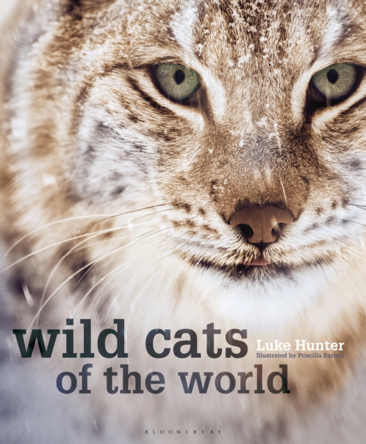 Wild Cats of the World, EPUB eBook