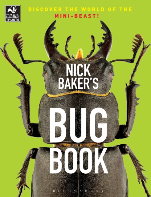 Nick Baker's Bug Book : Discover the World of the Mini-beast!, Paperback / softback Book
