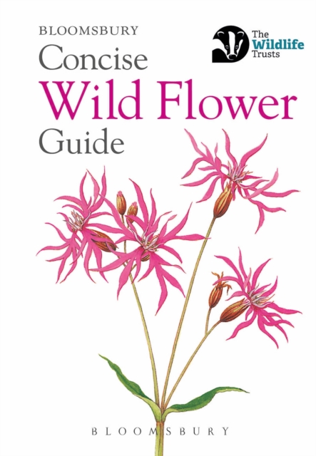 Concise Wild Flower Guide, EPUB eBook