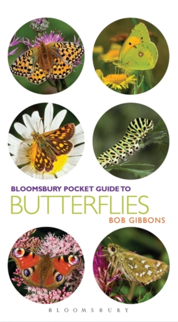 Pocket Guide to Butterflies, EPUB eBook