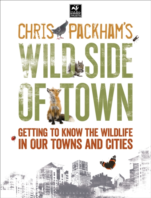 Chris Packham's Wild Side Of Town : Getting to Know the Wildlife in Our Towns and Cities, Paperback / softback Book