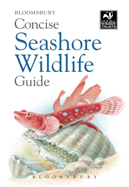 Concise Seashore Wildlife Guide, PDF eBook