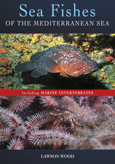 Sea Fishes Of The Mediterranean Including Marine Invertebrates, EPUB eBook