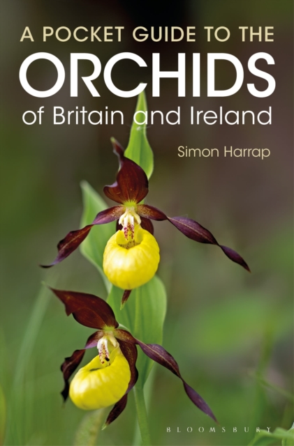 Pocket Guide to the Orchids of Britain and Ireland, Paperback / softback Book