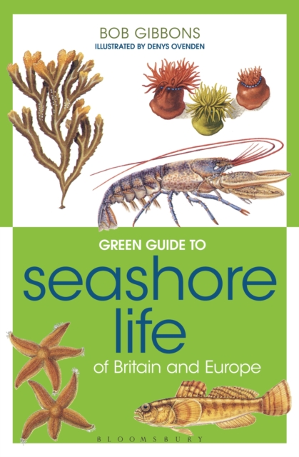 Green Guide to Seashore Life Of Britain And Europe, EPUB eBook