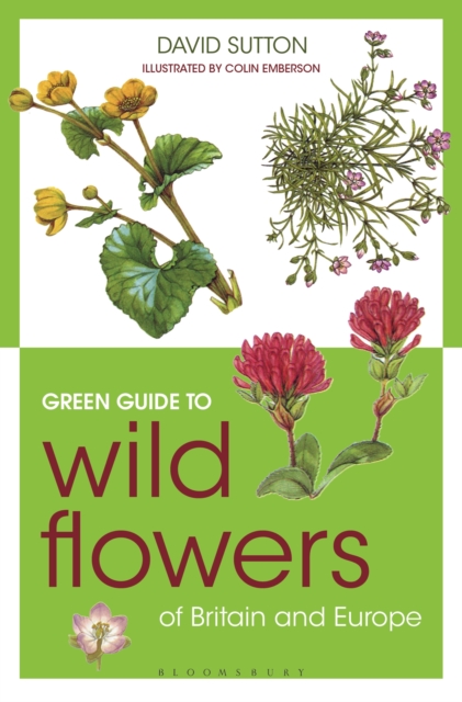 Green Guide to Wild Flowers Of Britain And Europe, PDF eBook