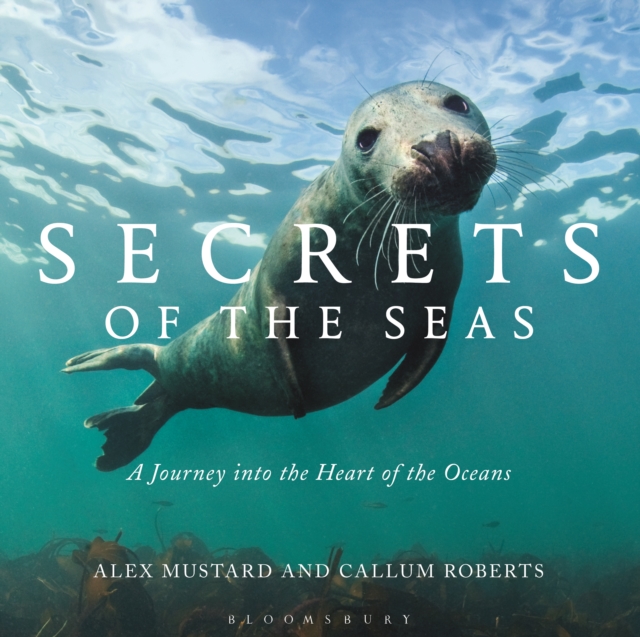 Secrets of the Seas : A Journey into the Heart of the Oceans, PDF eBook