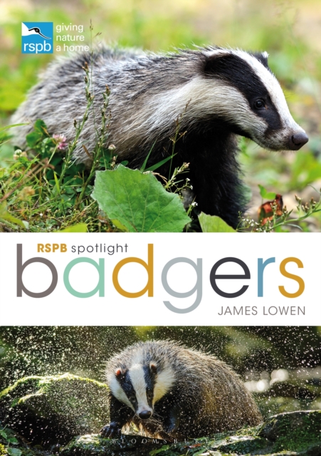 RSPB Spotlight: Badgers, PDF eBook