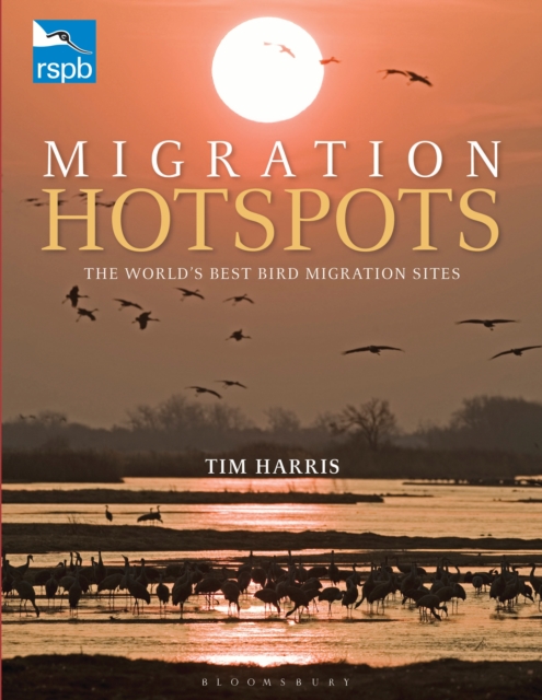 RSPB Migration Hotspots : The World's Best Bird Migration Sites, PDF eBook